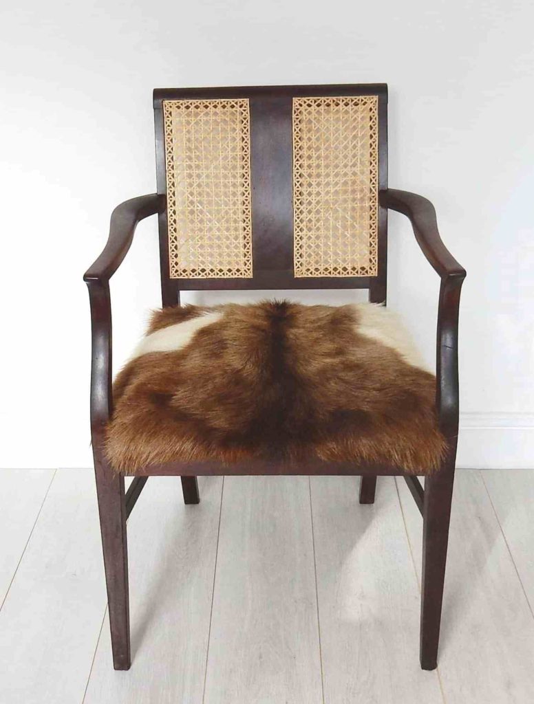 Edwardian, mahogany cane back armchair: goat hair seat. Front view.ack