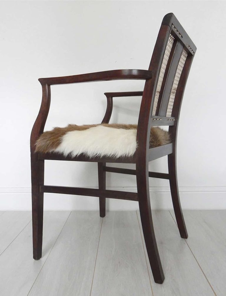 Edwardian mahogany cane back chair; goat hair on hide seat in brown and cream; back view.