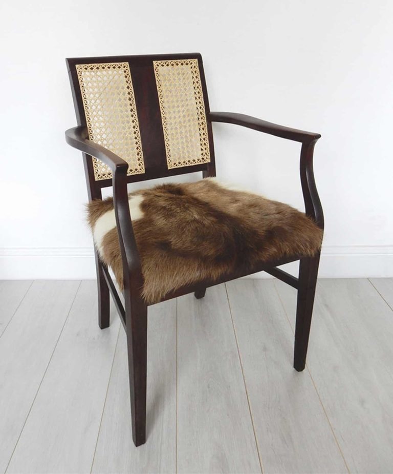 Edwardian mahogany cane back chair; goat hair on hide seat in brown and cream; front view.