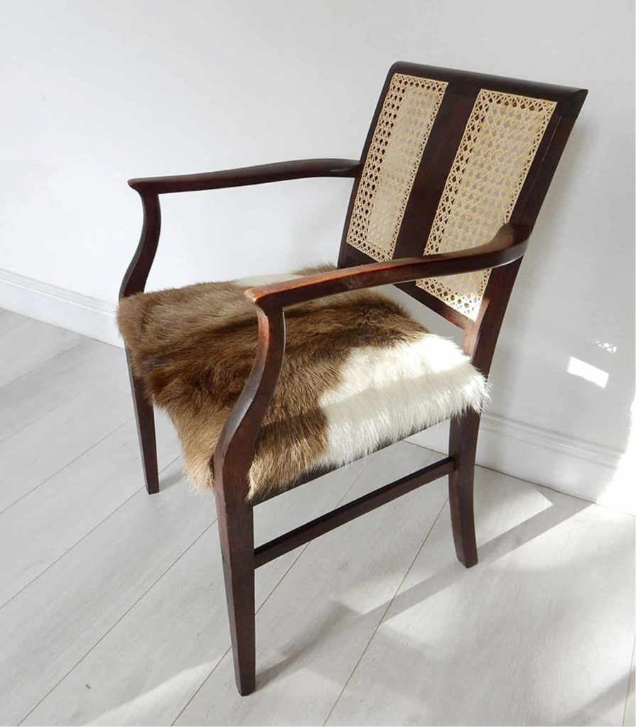 Edwardian mahogany cane back chair; goat hair on hide seat in brown and cream.