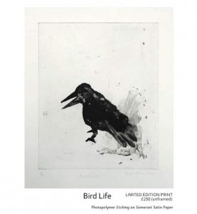 7-bird-life-limited-edition-print-photopolymer-etching- by-janet-milner