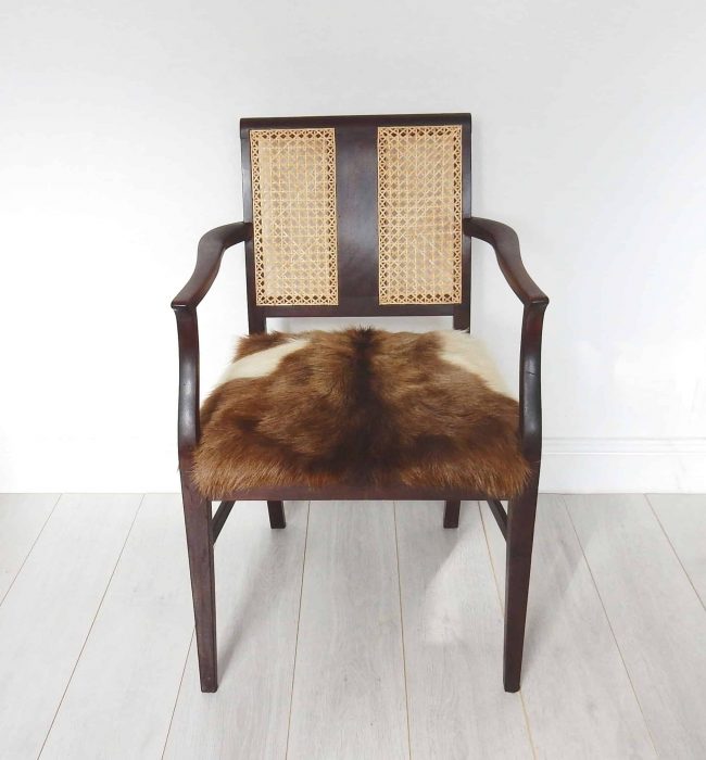 Edwardian mahogany cane back chair; goat hair on hide seat in brown and cream.